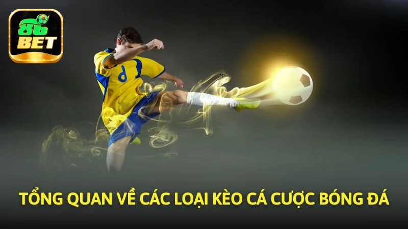 các loại kèo cá cược bóng đá